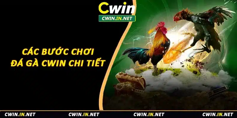 Các bước chơi đá gà Cwin chi tiết